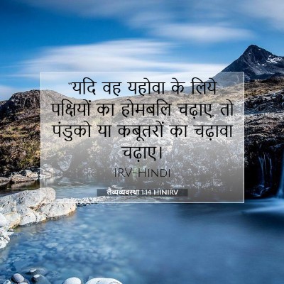 लैव्यव्यवस्था 1:14 बाइबल आयत की व्याख्या