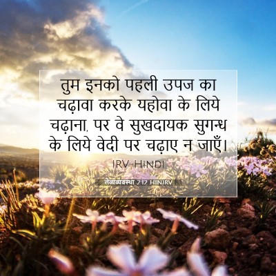 लैव्यव्यवस्था 2:12 बाइबल आयत की व्याख्या