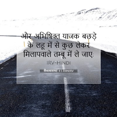 लैव्यव्यवस्था 4:5 बाइबल आयत की व्याख्या