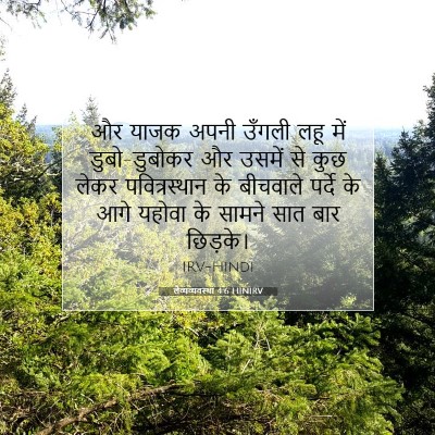 लैव्यव्यवस्था 4:6 HINIRV बाइबल आयत इमेज