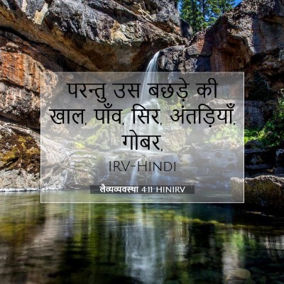 लैव्यव्यवस्था 4:11 बाइबल आयत की व्याख्या