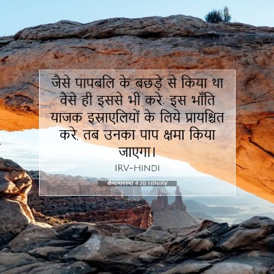 लैव्यव्यवस्था 4:20 HINIRV बाइबल आयत इमेज