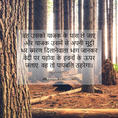 लैव्यव्यवस्था 5:12 HINIRV बाइबल आयत इमेज