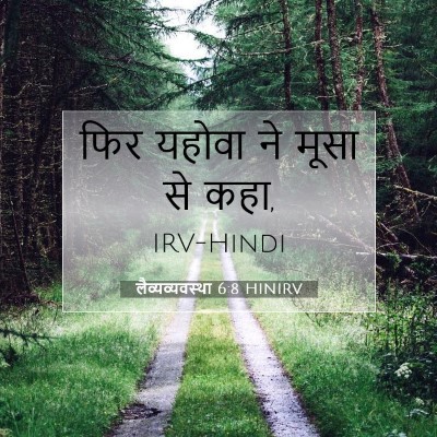 लैव्यव्यवस्था 6:8 बाइबल आयत की व्याख्या