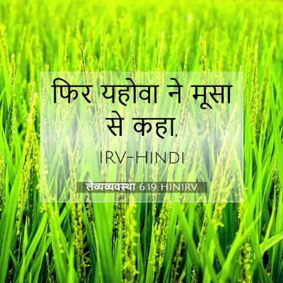 लैव्यव्यवस्था 6:19 HINIRV बाइबल आयत इमेज