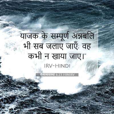 लैव्यव्यवस्था 6:23 बाइबल आयत की व्याख्या