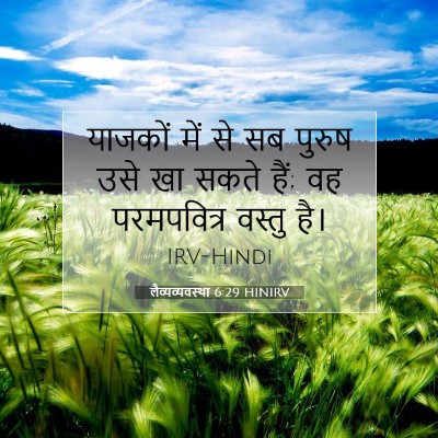 लैव्यव्यवस्था 6:29 HINIRV बाइबल आयत इमेज