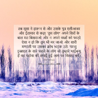 लैव्यव्यवस्था 10:6 HINIRV बाइबल आयत इमेज