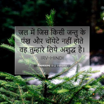 लैव्यव्यवस्था 11:12 HINIRV बाइबल आयत इमेज