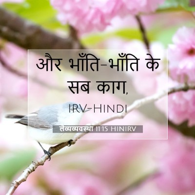 लैव्यव्यवस्था 11:15 HINIRV बाइबल आयत इमेज