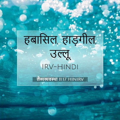 लैव्यव्यवस्था 11:17 बाइबल आयत की व्याख्या