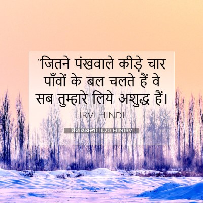 लैव्यव्यवस्था 11:20 HINIRV बाइबल आयत इमेज