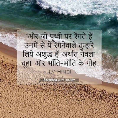 लैव्यव्यवस्था 11:29 HINIRV बाइबल आयत इमेज