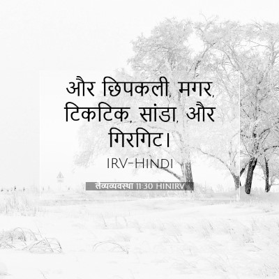 लैव्यव्यवस्था 11:30 बाइबल आयत की व्याख्या
