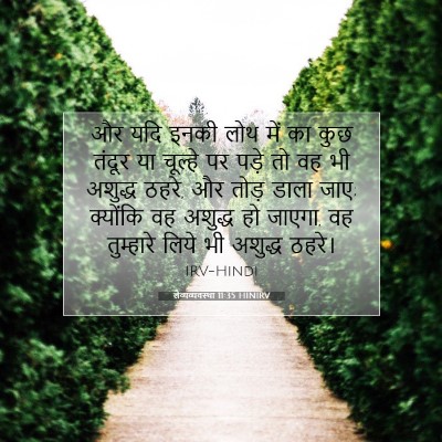 लैव्यव्यवस्था 11:35 HINIRV बाइबल आयत इमेज