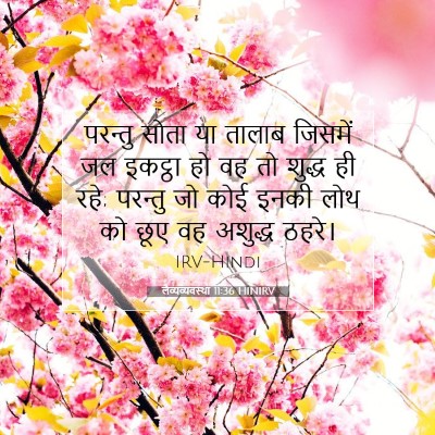 लैव्यव्यवस्था 11:36 बाइबल आयत की व्याख्या