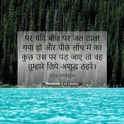 लैव्यव्यवस्था 11:38 HINIRV बाइबल आयत इमेज