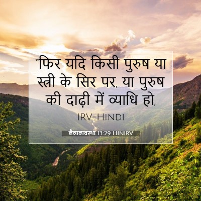 लैव्यव्यवस्था 13:29 HINIRV बाइबल आयत इमेज