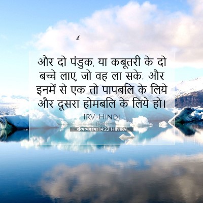 लैव्यव्यवस्था 14:22 HINIRV बाइबल आयत इमेज