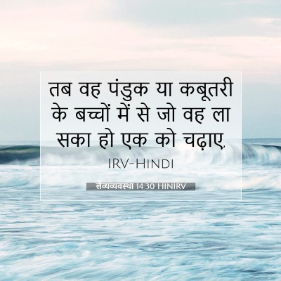 लैव्यव्यवस्था 14:30 HINIRV बाइबल आयत इमेज