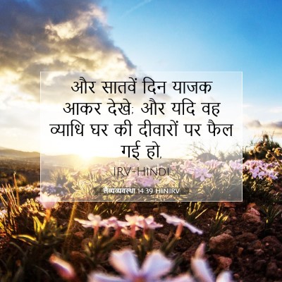 लैव्यव्यवस्था 14:39 बाइबल आयत की व्याख्या