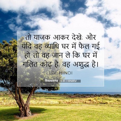 लैव्यव्यवस्था 14:44 HINIRV बाइबल आयत इमेज