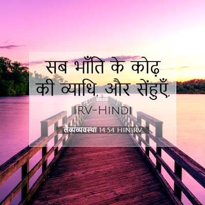 लैव्यव्यवस्था 14:54 HINIRV बाइबल आयत इमेज