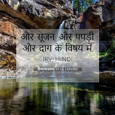 लैव्यव्यवस्था 14:56 HINIRV बाइबल आयत इमेज
