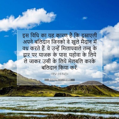 लैव्यव्यवस्था 17:5 HINIRV बाइबल आयत इमेज