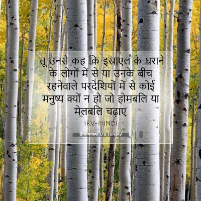 लैव्यव्यवस्था 17:8 HINIRV बाइबल आयत इमेज