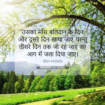 लैव्यव्यवस्था 19:6 बाइबल आयत की व्याख्या