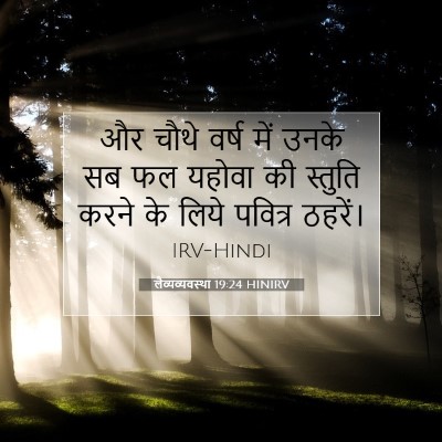 लैव्यव्यवस्था 19:24 HINIRV बाइबल आयत इमेज