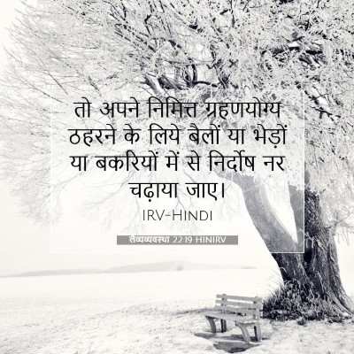 लैव्यव्यवस्था 22:19 HINIRV बाइबल आयत इमेज