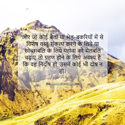 लैव्यव्यवस्था 22:21 HINIRV बाइबल आयत इमेज