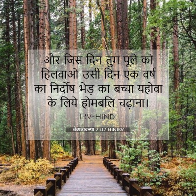 लैव्यव्यवस्था 23:12 HINIRV बाइबल आयत इमेज
