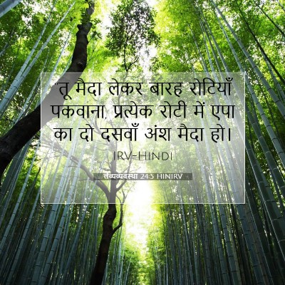 लैव्यव्यवस्था 24:5 HINIRV बाइबल आयत इमेज
