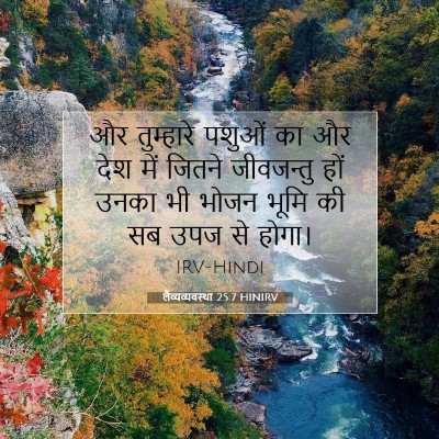 लैव्यव्यवस्था 25:7 बाइबल आयत की व्याख्या
