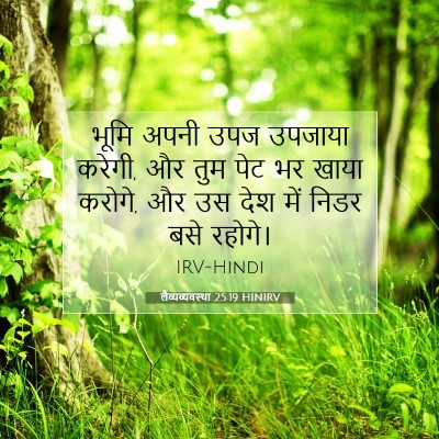 लैव्यव्यवस्था 25:19 बाइबल आयत की व्याख्या