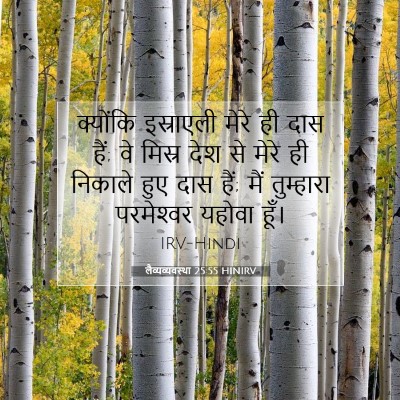 लैव्यव्यवस्था 25:55 HINIRV बाइबल आयत इमेज