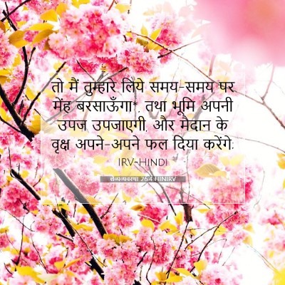 लैव्यव्यवस्था 26:4 HINIRV बाइबल आयत इमेज