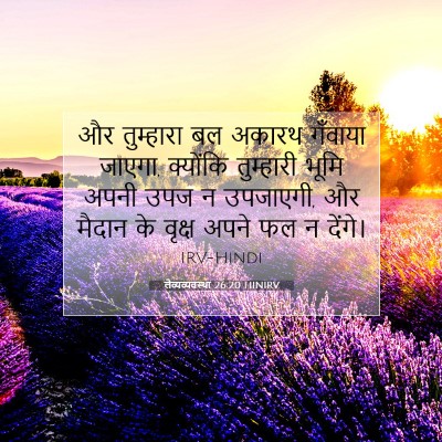 लैव्यव्यवस्था 26:20 HINIRV बाइबल आयत इमेज