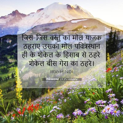 लैव्यव्यवस्था 27:25 बाइबल आयत की व्याख्या