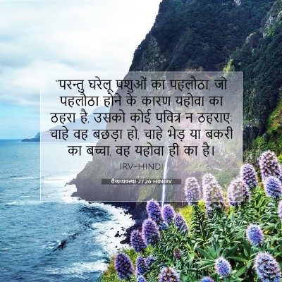 लैव्यव्यवस्था 27:26 बाइबल आयत की व्याख्या