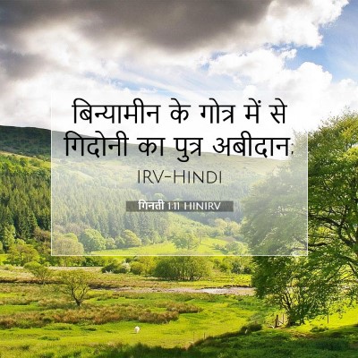गिनती 1:11 बाइबल आयत की व्याख्या