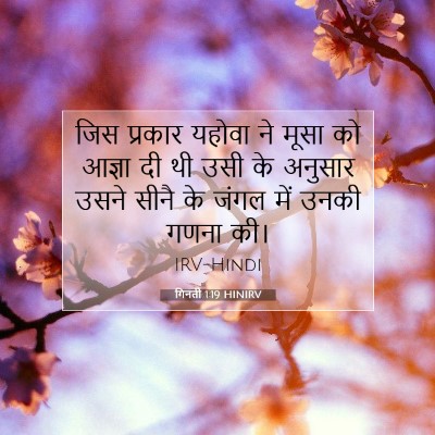 गिनती 1:19 बाइबल आयत की व्याख्या