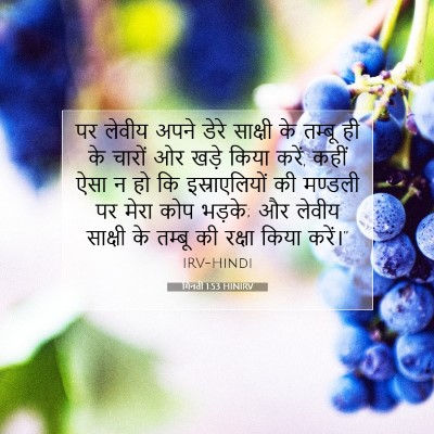 गिनती 1:53 बाइबल आयत की व्याख्या