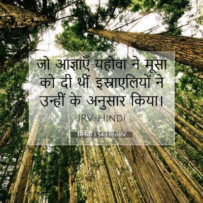 गिनती 1:54 बाइबल आयत की व्याख्या