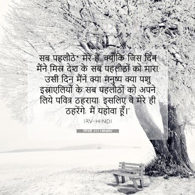 गिनती 3:13 बाइबल आयत की व्याख्या