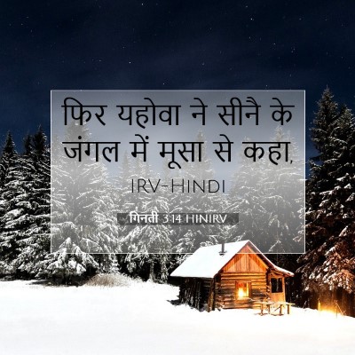 गिनती 3:14 बाइबल आयत की व्याख्या
