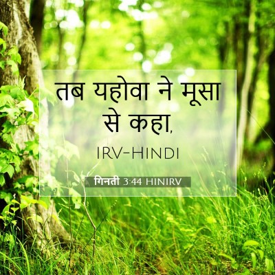 गिनती 3:44 बाइबल आयत की व्याख्या